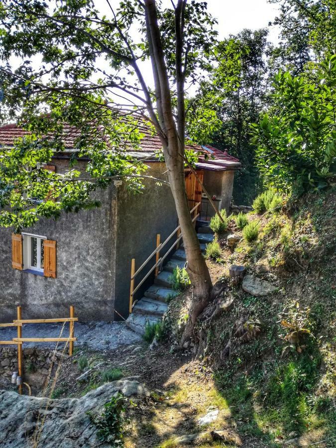 Berzuaia Bed & Breakfast Вараце Екстериор снимка
