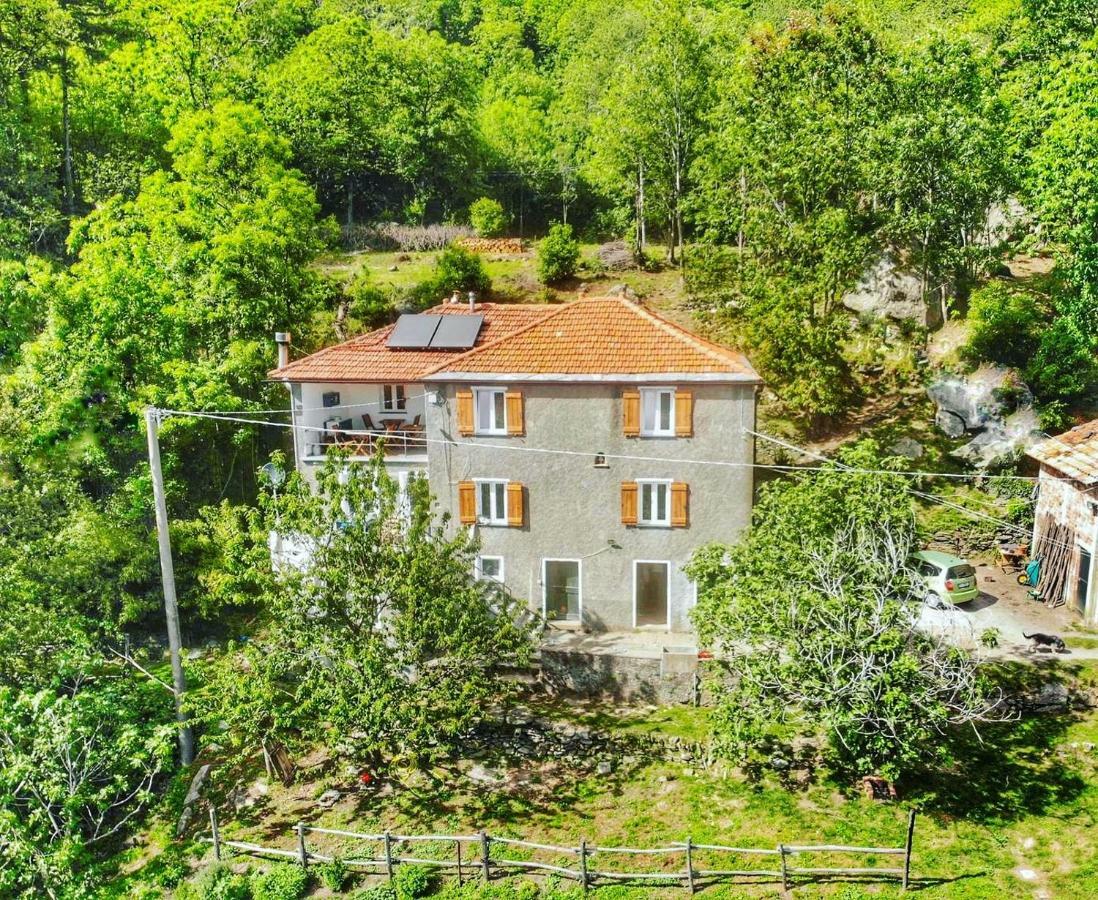 Berzuaia Bed & Breakfast Вараце Екстериор снимка