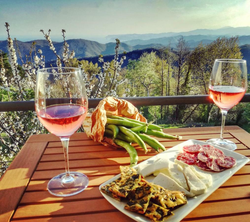 Berzuaia Bed & Breakfast Вараце Екстериор снимка